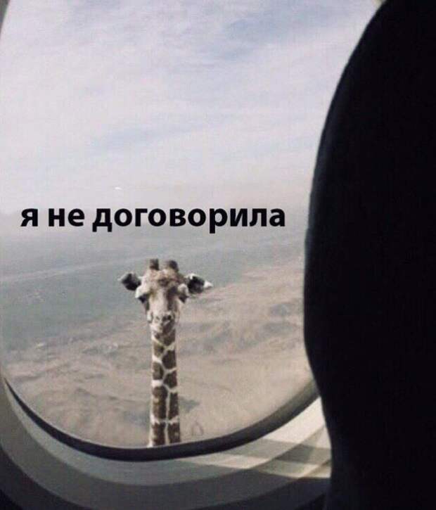 www.vsyako.net
