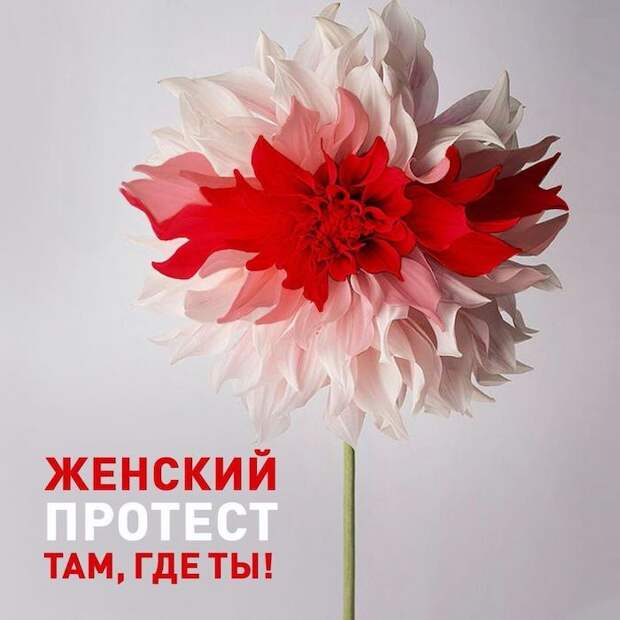 Про женские акции в Белоруссии Про женские акции в Белоруссии