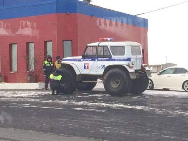 Прикольные фотографии и смешные картинки из жизни (12 фото) Прикольные фотографии и смешные картинки из жизни (12 фото)