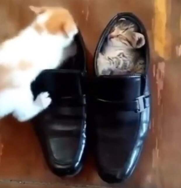 Все что нужно занать в этой жизни, если долго мучиться ,то обязательно получится