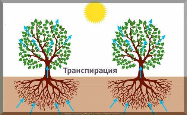 https://vk.com/photo-159774511_457267770