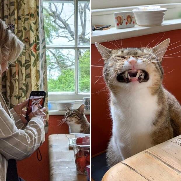 Сыыыр