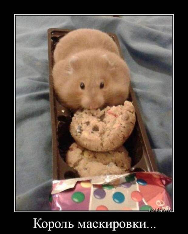 Прикольные демотиваторы