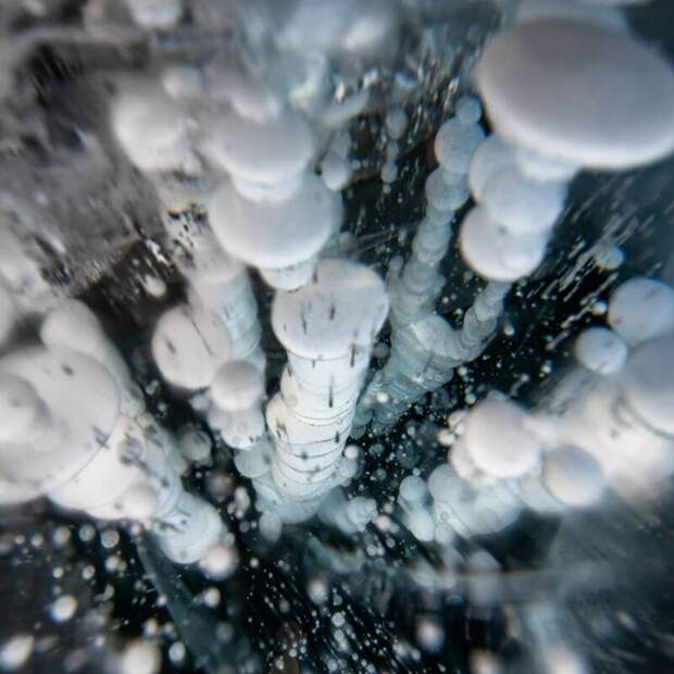 Российский фотограф снял удивительные ледяные узоры Байкала vadim mahorov, байкал, красота, природа, узор, фото, фотограф