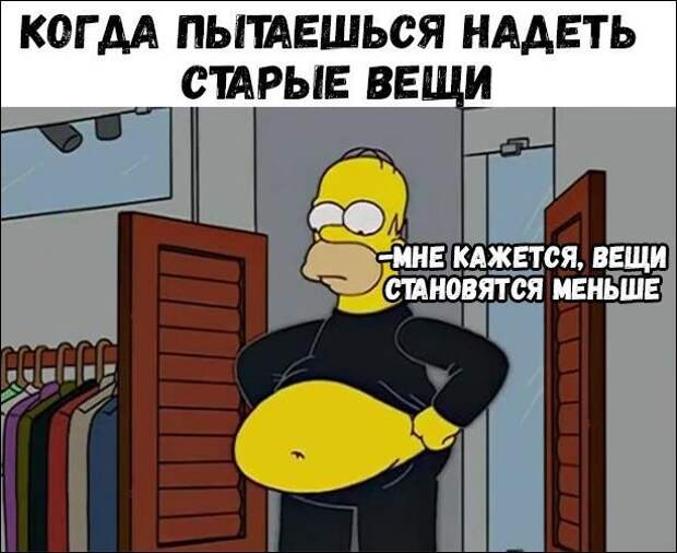 Прикольные картинки