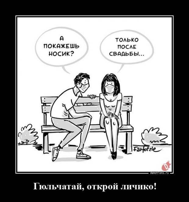 1604563508_demy-8.jpg