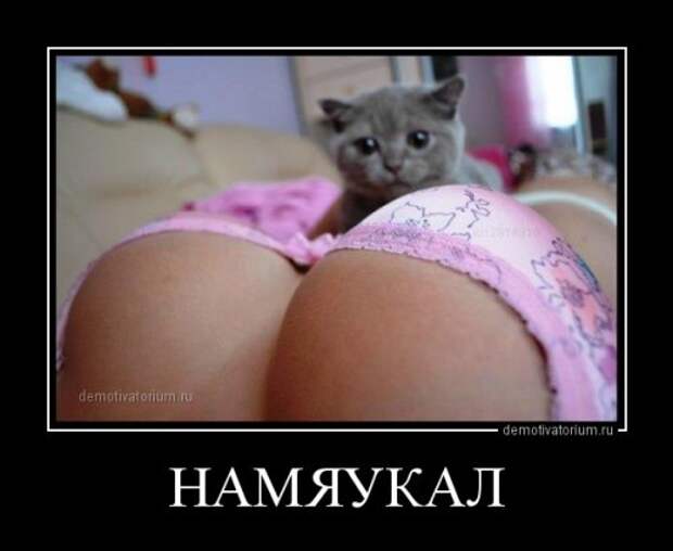Свежие демотиваторы-приколы (17 шт)