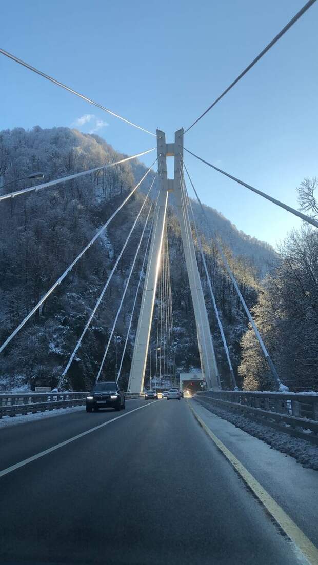 Фотоподборка