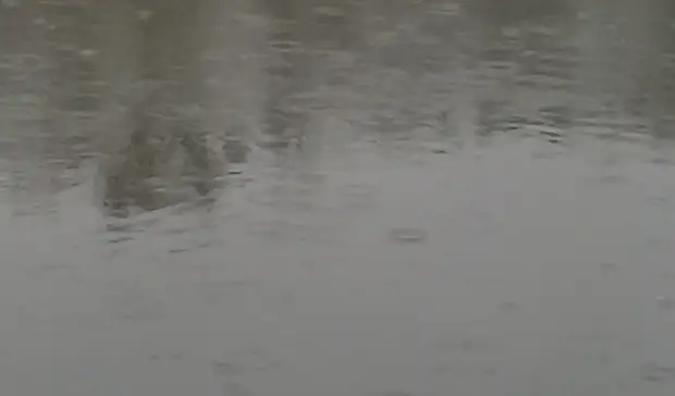 Оренбуржье 22 апреля ждет резкое похолодание на 10 градусов Цельсия