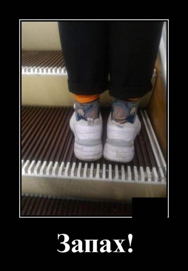 demotivatory-demotivator-smeshnye-demotivatory-demotivator-so-smyslom