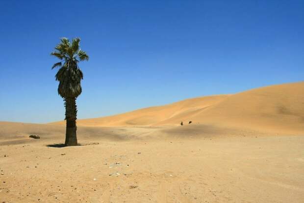 Пустыни природа, пустыни, путешествия, фото