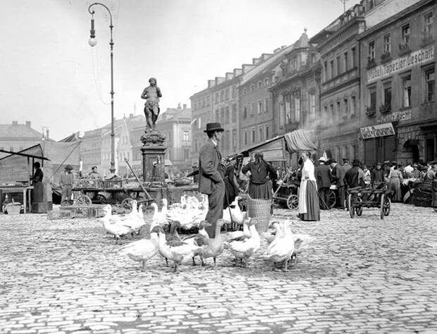 Как жила Европа в 1904: мужчина нашел старые фото о жизни европейцев до технологий