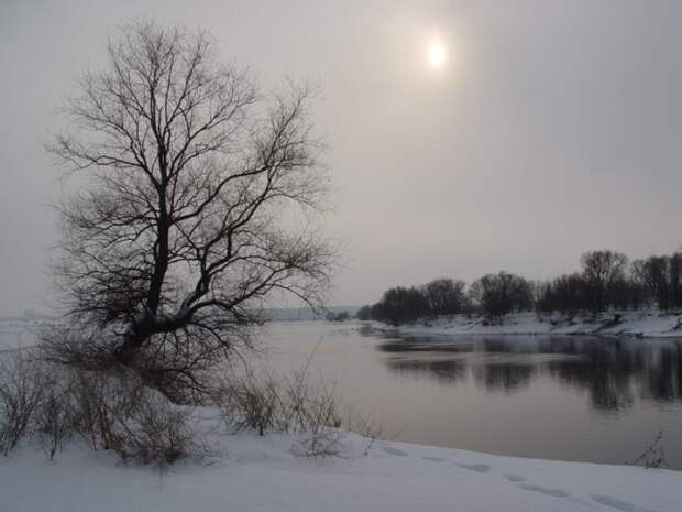Картинки по запросу на живца на речке зимой