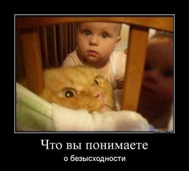 Демотиваторы-приколы
