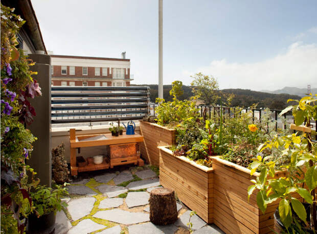 Новости PRO Ремонт - Обустройство сада: калейдоскоп бюджетных идей Зелень на крыше дома