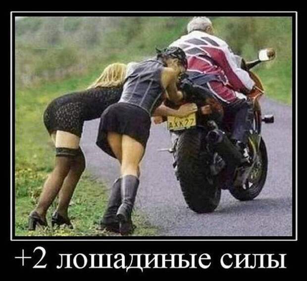 Прикольные демотиваторы для поднятия настроения (10 фото) Прикольные демотиваторы для поднятия настроения (10 фото)