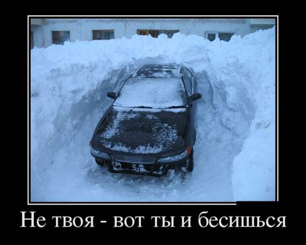 Демотиваторы бревно, демотиваторы, юмор