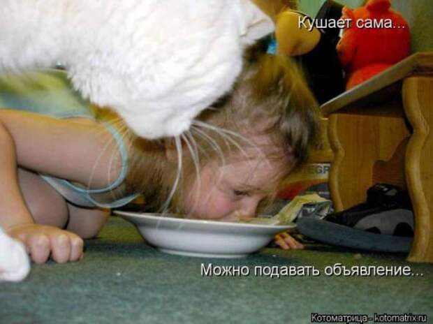 Котоматрицы(картинки с надписями)