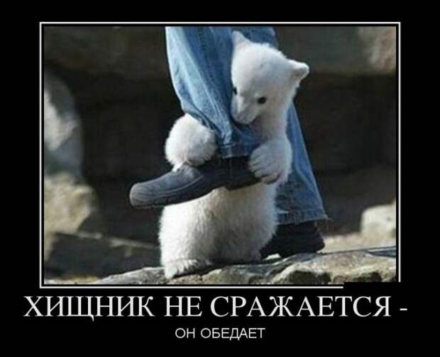 Демотиваторы