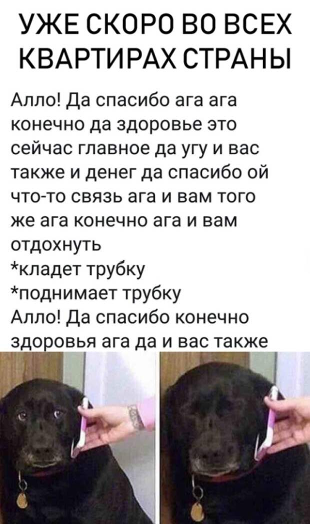 Подборка картинок. Вечерний выпуск (20 фото)