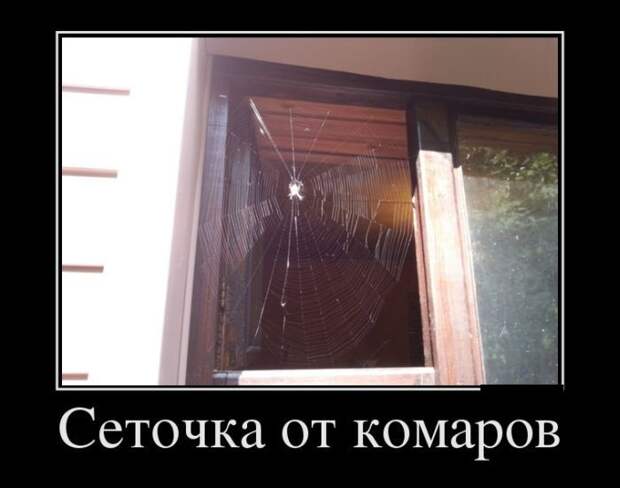 Демотиваторы смех, демотиваторы, прикол, юмор