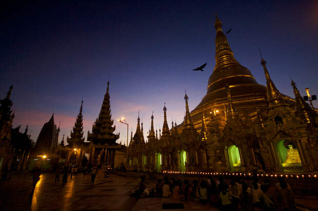 Мьянма. Янгон. Пагода Шведагон. (Tobias von A.)