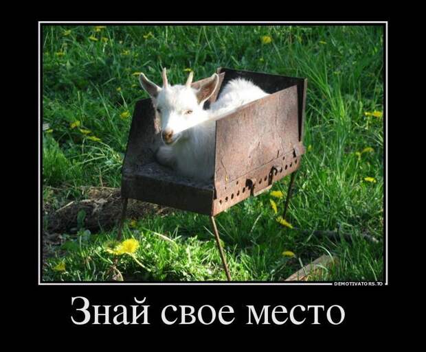 Демотиваторы, создавай прикольное настроение.
