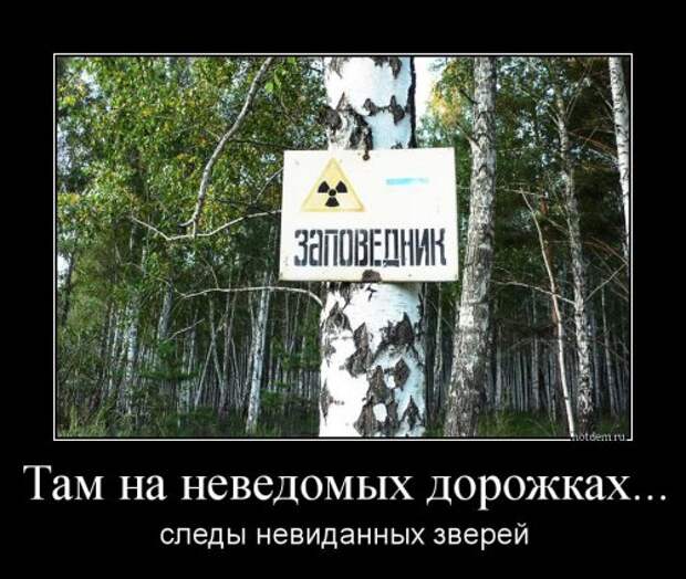 Прикольные демотиваторы (27 шт)