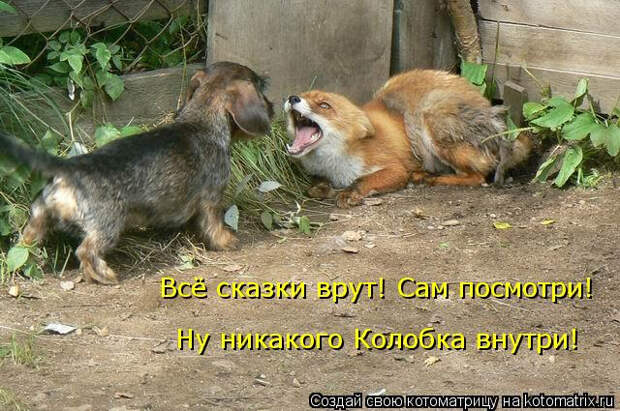 kotomatritsa_MB (640x425, 262Kb)