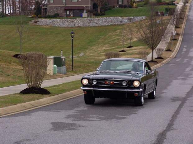 Очередной скелет из шкафа Ford Mustang (21 фото) Очередной скелет из шкафа Ford Mustang (21 фото)
