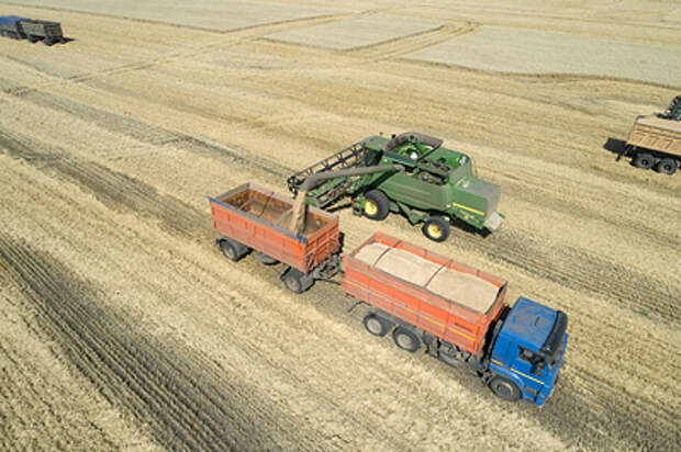 В Запорожской области напомнили о субсидиях для сельхозпроизводителей региона