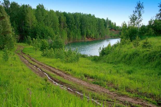 Дорога в лес,зеленый и прохладный...