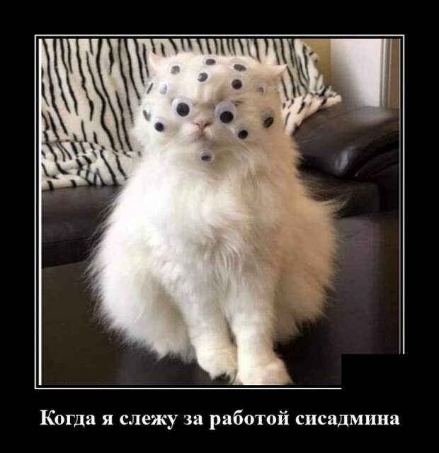 Демотиватор про сисадмина