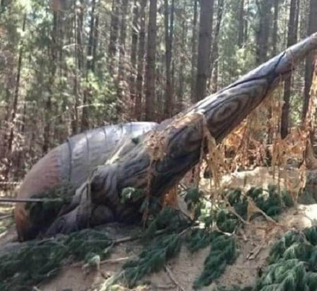 нло, корабль, австралия