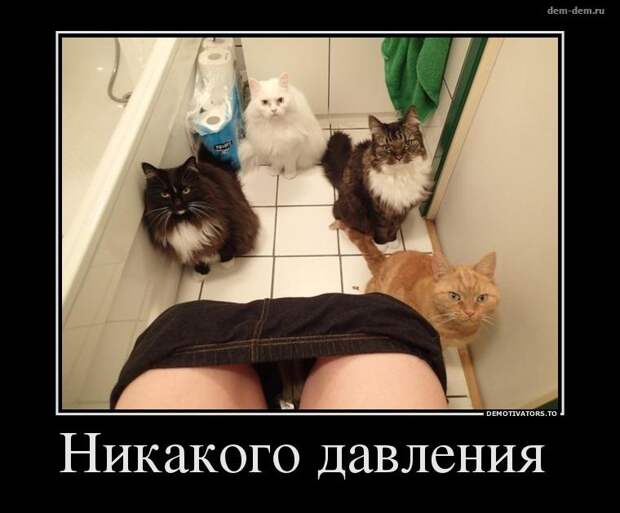 30 демотиваторов дня от 25-12-2013