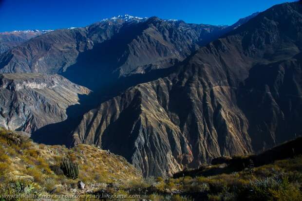 Спускаемся в глубочайший каньон на Земле colca23 Спускаемся в глубочайший каньон на Земле