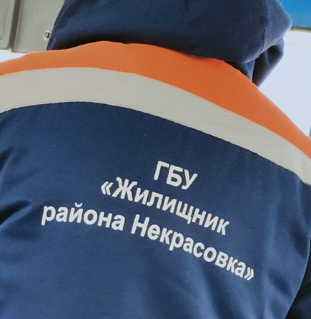 Жилищник Некрасовка