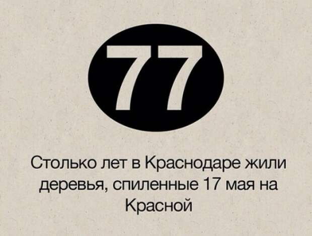 Новости из жизни Краснодара в цифрах краснодар, новости, цифры