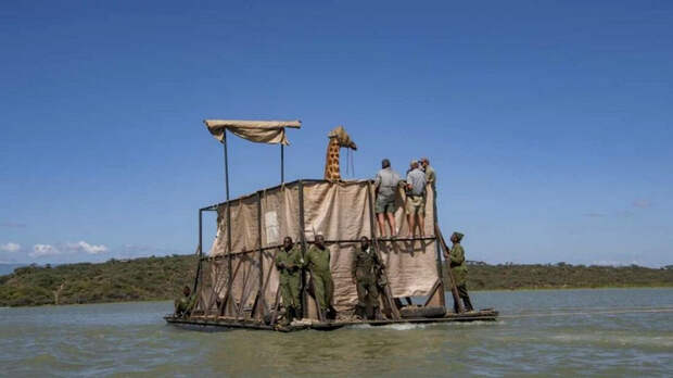 13584994_original (700x393, 191Kb)