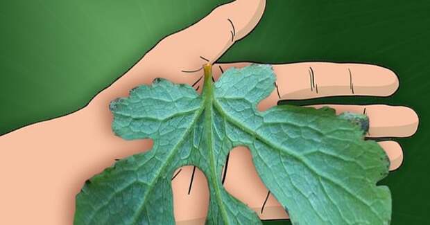 thumb2-600x315 (2)