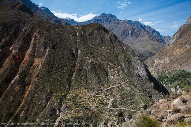 Спускаемся в глубочайший каньон на Земле colca19 Спускаемся в глубочайший каньон на Земле