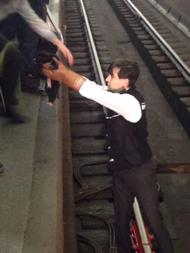 Машинист поезда спас щенка, упавшего на рельсы машинист поезда, спас щенка, упавшего на рельсы
