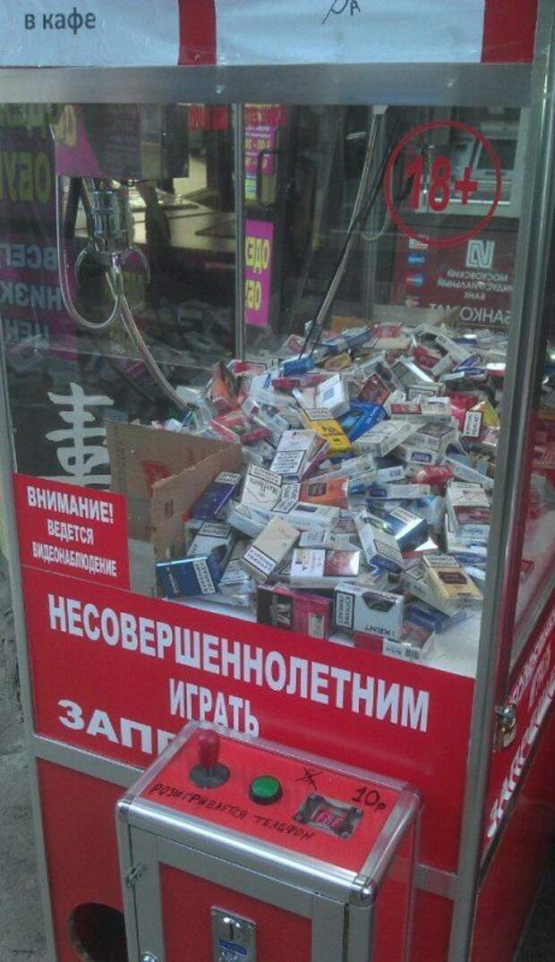 Прикольные картинки Прикольные картинки