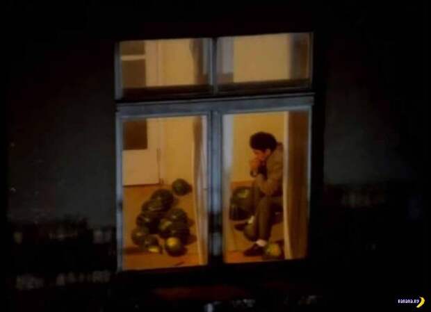 Прикольные картинки - 1899