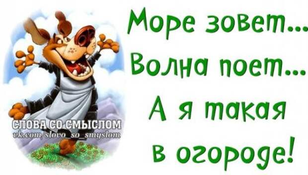 Начни день с улыбки...