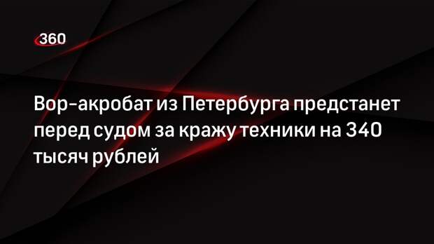 Вор-акробат из Петербурга предстанет перед судом за кражу техники на 340 тысяч рублей