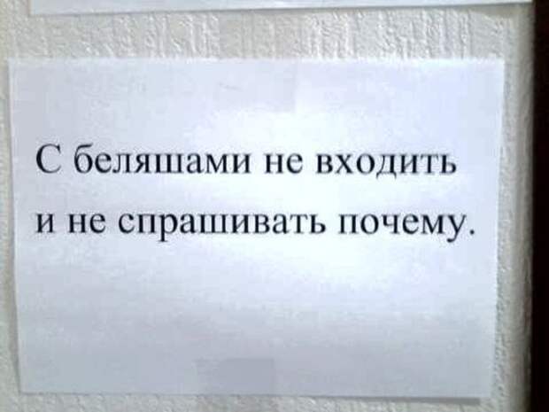 Прикольные объявления, открытки и высказывания в соцсетях (40 фото)