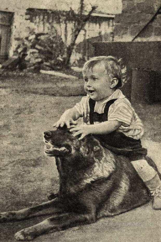 Молодая Гвардия