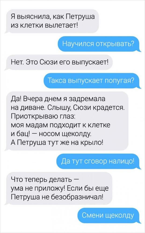 Девушка-ветеринар поделилась забавными переписками с ее клиентами