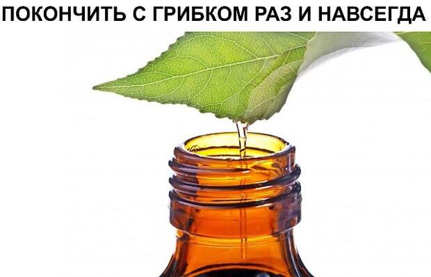 Картинки по запросу ПОКОНЧИТЬ С ГРИБКОМ РАЗ И НАВСЕГДА
